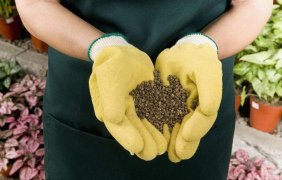 有機肥如何選擇？