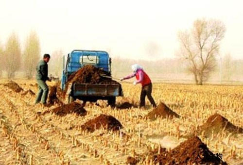 如何處理雞糞能使雞糞變成雞糞有機肥