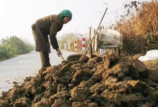 有機(jī)肥料有什么作用呢？無(wú)機(jī)肥和有機(jī)肥該如何選擇