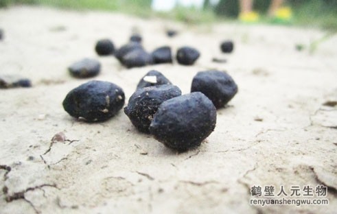 有機(jī)肥是什么，有機(jī)肥的原材料來(lái)源于哪里