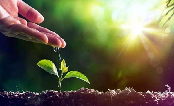 在購買有機(jī)肥應(yīng)注意哪些？