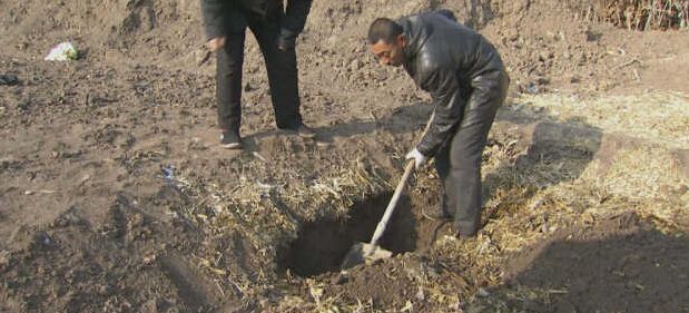 黑龍江秸稈利用，小秸稈變成大生意