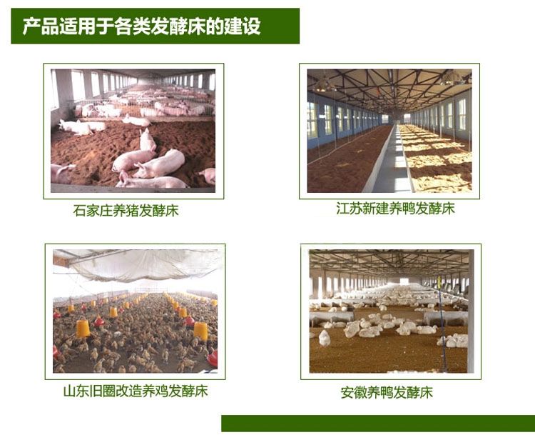 云南發(fā)酵床養(yǎng)豬與水泥地養(yǎng)豬哪個(gè)省工？