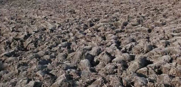 微生物菌劑如何讓土壤恢復(fù)健康！