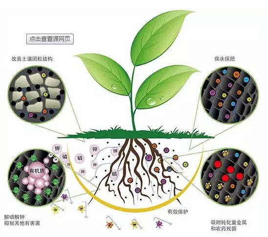 科學(xué)施用生物菌肥好處多多！