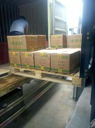 誘蟲板出貨，發(fā)貨現(xiàn)場圖4