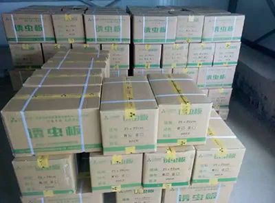 誘蟲板出貨，發(fā)貨現(xiàn)場圖3