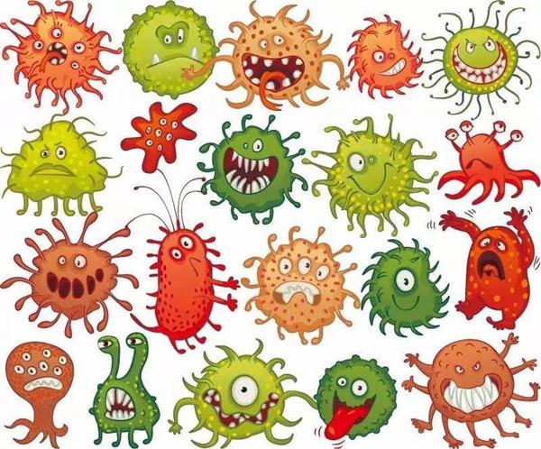 枯草芽孢桿菌_神奇的【枯草芽孢桿菌】菌肥都離不開你！