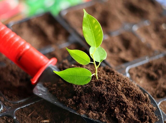 微生物肥料在蔬菜生產中的正確選用丨微生物肥料