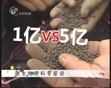生物菌肥_菌肥_到底是5億好還是1億的好！