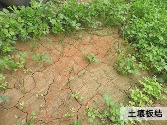 【關注】農業(yè)部為什么大力推廣有機肥：有機肥的長期不足、缺失破壞了土壤結構