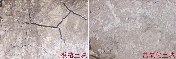 【關注】農業(yè)部為什么大力推廣有機肥：有機肥的長期不足、缺失破壞了土壤結構