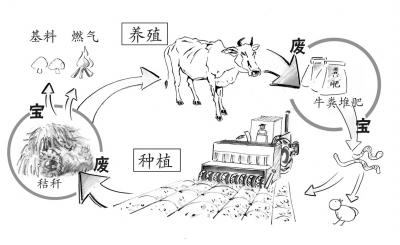 黑龍江農(nóng)業(yè)廢棄物變身高效有機(jī)肥_有機(jī)肥生產(chǎn)菌劑