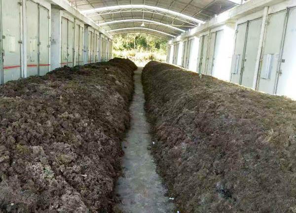 雞糞有機(jī)肥制作_雞糞有機(jī)肥用途有哪些？