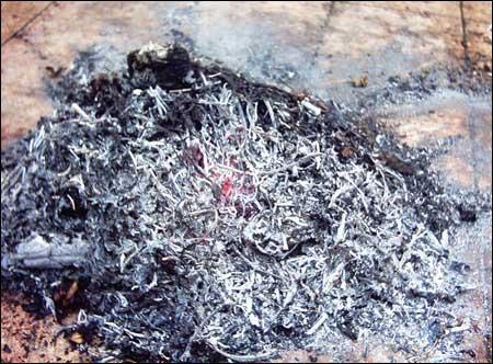 各種常用有機(jī)堆肥_農(nóng)家肥施用時機(jī)與方法