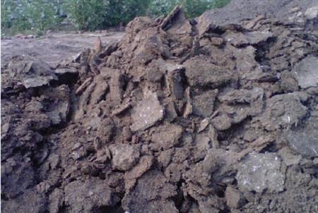 豬糞必須要發(fā)酵腐熟才可以用嗎？