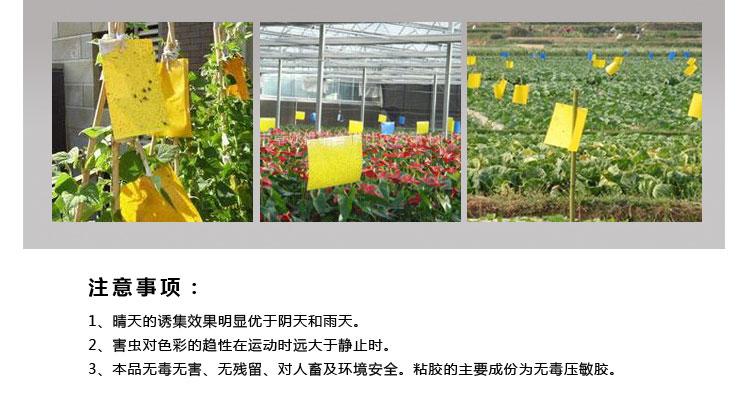 采購粘蟲板為什么選擇我們？粘蟲板價格