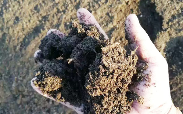 有機肥和化肥比哪個好？