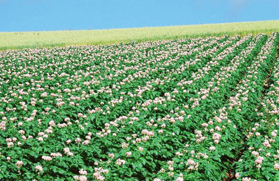 2019年江蘇省農(nóng)機(jī)購置補(bǔ)貼政策（含有機(jī)肥設(shè)備補(bǔ)貼）