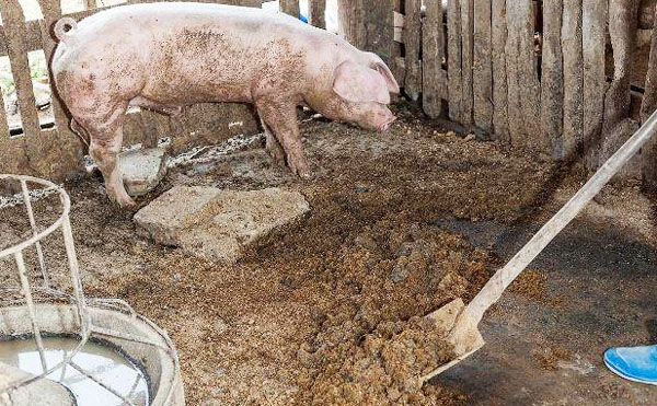 2019年江蘇省農(nóng)機(jī)購置補(bǔ)貼政策（含有機(jī)肥設(shè)備補(bǔ)貼）