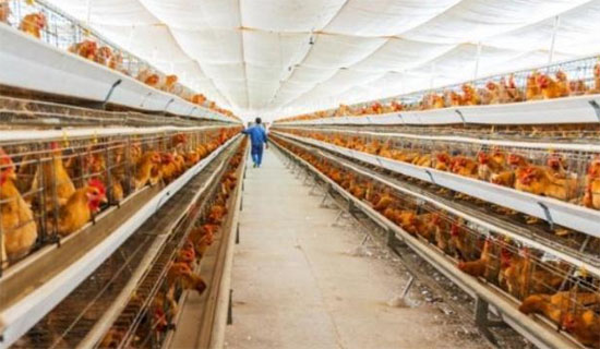 2019年江蘇省農(nóng)機(jī)購置補(bǔ)貼政策（含有機(jī)肥設(shè)備補(bǔ)貼）