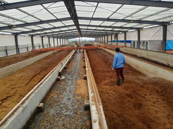 豬糞翻拋機價格多少錢？