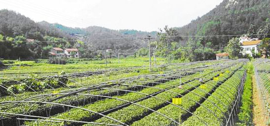 您買的肥料包裝標識符合國家標準嗎？