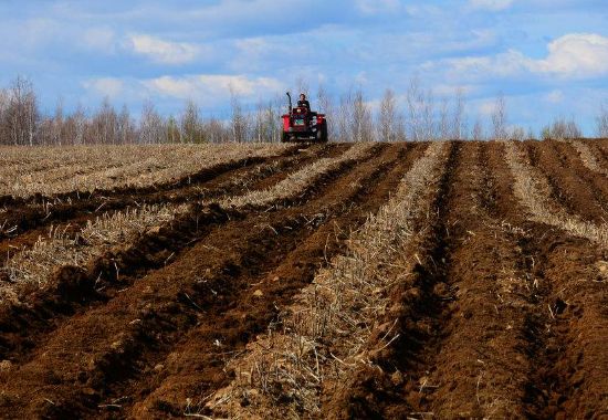 涉農貸款增量獎勵政策引人關注
