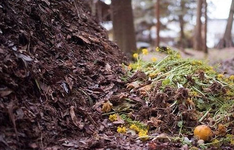 有機肥是什么肥料，與化肥有什么區(qū)別？