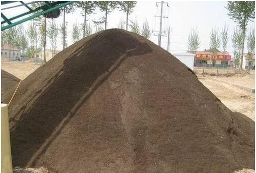 草莓種植施用什么肥料好，如何施肥？