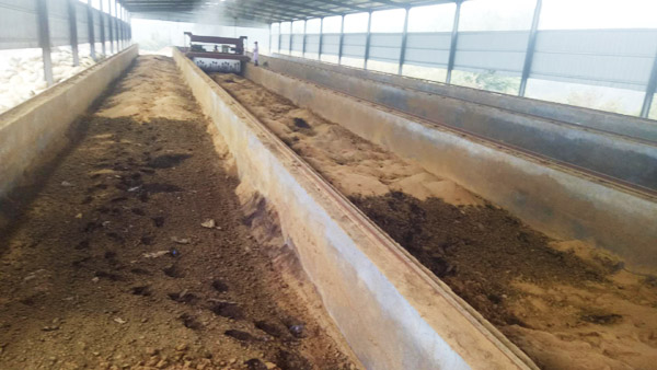 豬糞加工有機(jī)肥的步驟，需要哪些成本？