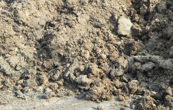 鮮雞糞如何制作生物有機(jī)肥？