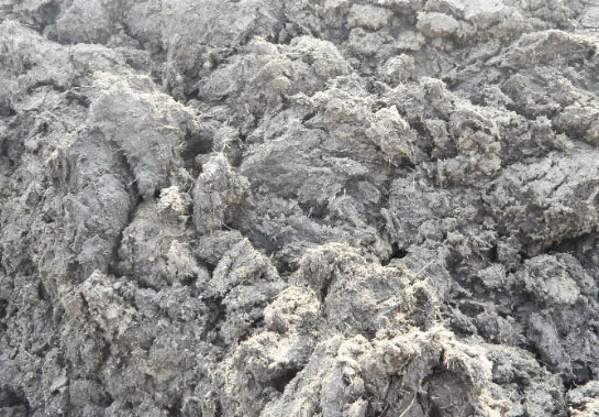 鮮雞糞如何制作生物有機(jī)肥？