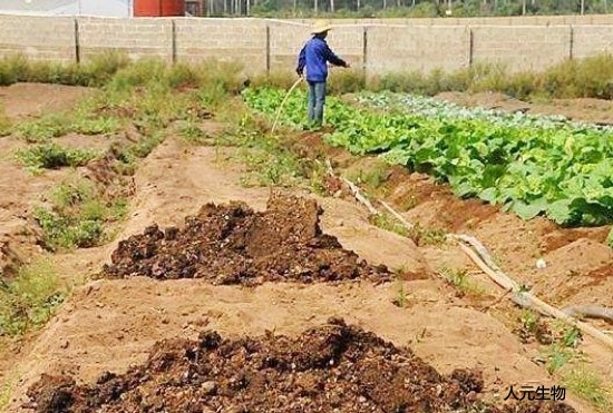 固體糞肥利用方式適用于哪些養(yǎng)豬場(chǎng)？