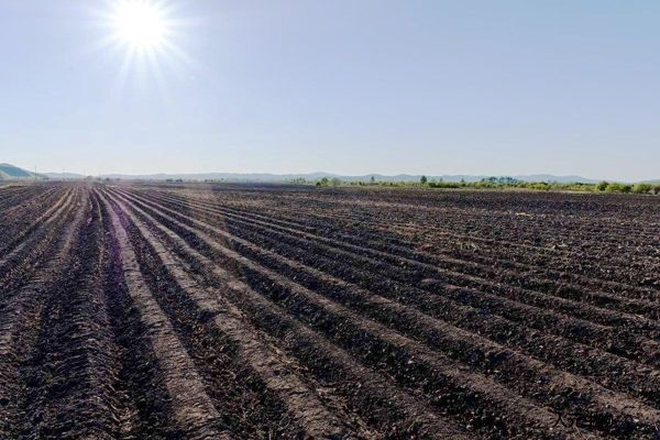 施用傳統(tǒng)有機肥和生物有機肥哪個好？