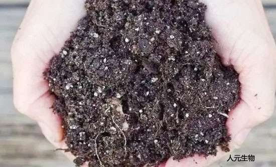 使用土壤調理劑時需要注意哪些？