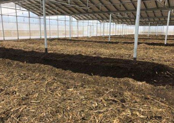 秸稈發(fā)酵制作有機肥的方法和施肥技術(shù)