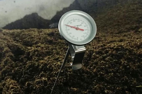 月季到了冬季要不要施肥？