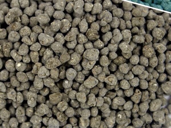 常用的有機肥料有哪些種類？