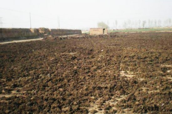 生產(chǎn)一噸豬糞有機(jī)肥料需要幾噸豬糞？