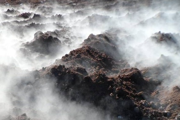 有機肥應該發(fā)酵多少天，需要經(jīng)歷幾個階段？