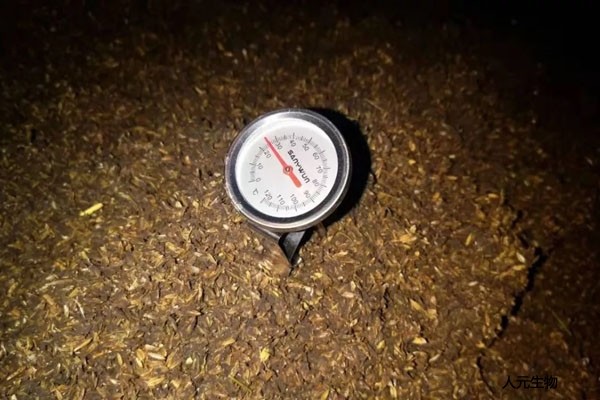 有機肥應該發(fā)酵多少天，需要經(jīng)歷幾個階段？