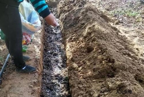 有機(jī)肥發(fā)酵到什么程度算腐熟，評(píng)判的標(biāo)準(zhǔn)又是什么呢？