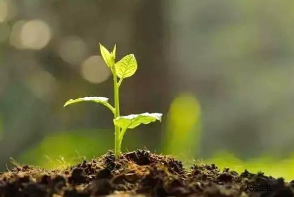 海南什么是有機肥？施用有機肥有哪些具體作用？