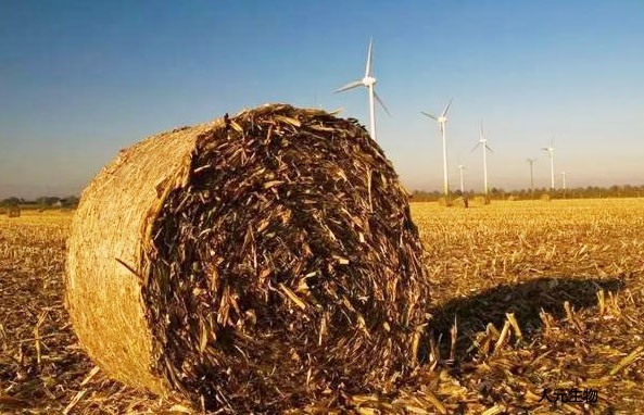 適合制作有機肥的原料有哪些，怎么劃分有機肥原料種類的？