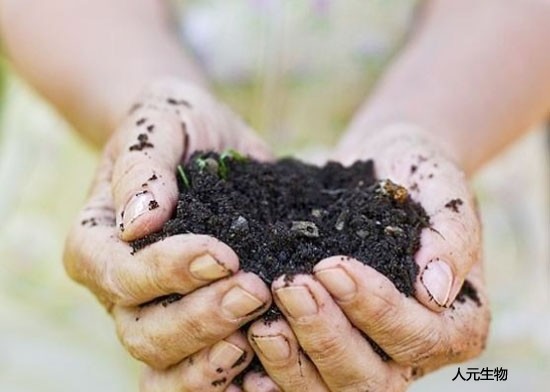 關于有機肥那些事