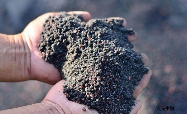 各種不同原料生產(chǎn)的有機肥哪個效果好？