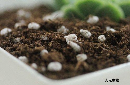 有機肥生產(chǎn)廠家教你如何鑒別有機肥的品質(zhì)？