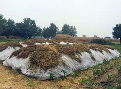 雞糞是怎么發(fā)酵的？雞糞有機(jī)肥發(fā)酵的具體方法和步驟