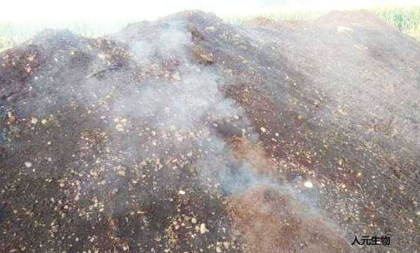 秸稈腐熟劑的作用及使用技術